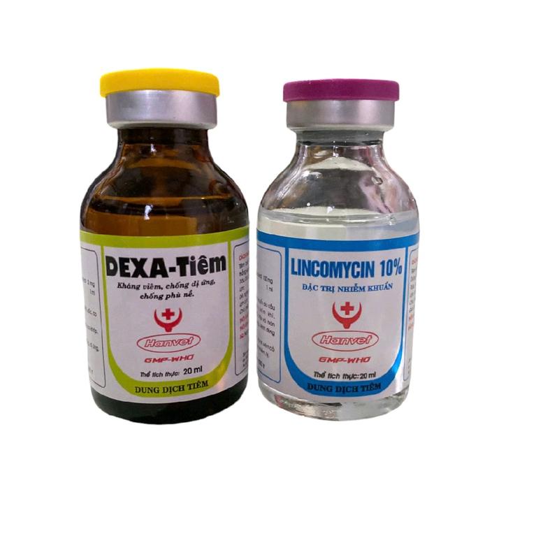Bộ đôi Lincomycin và dexa - Tiêu kén, sưng củ bàn, kén lườn, kén đầu, sưng gối cho gà chai 20ml 4