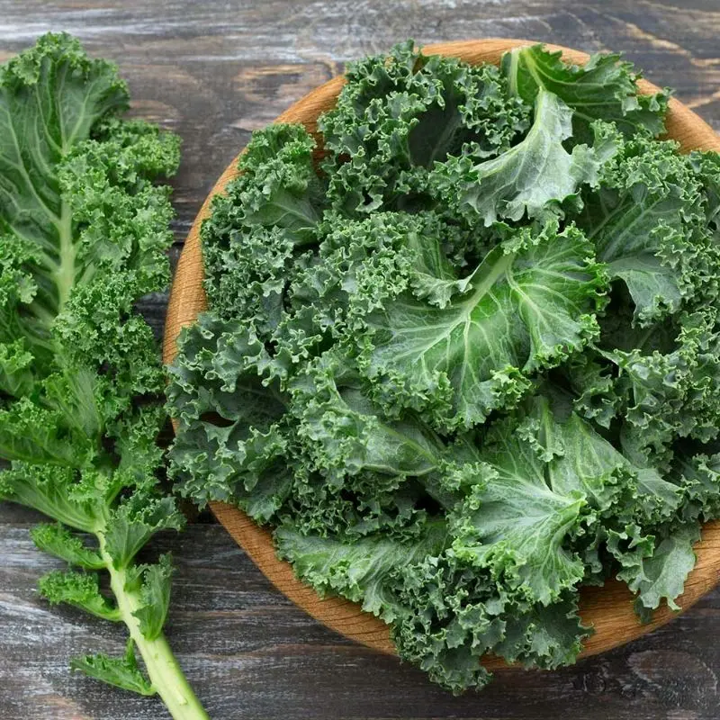 [700-800 hạt]  Hạt giống cải xoăn Kale đóng gói 5gr dễ trồng - Loại cây giàu dưỡng, thu hoạch kéo trong khoảng 6 tháng 4