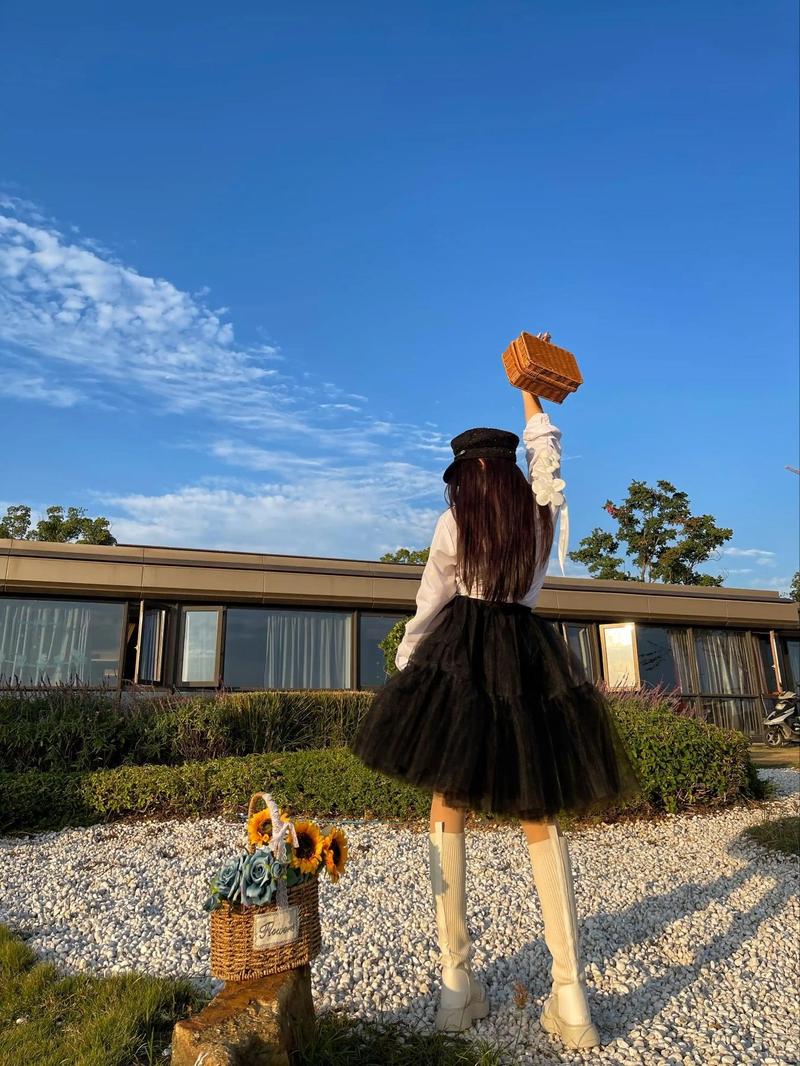 Product Introduction of Women's Solid Tulle Skirt, Elegant Fashion Knee Length Skirt for Party Club Dating, Ladies Bottoms for All Seasons 7