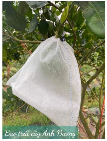 50 CÁI túi bọc trái cây dùng bao trái ổi, xoài, mướp, mít dùng nhiều mùa_túi bao trái cây cao cấp ánh dương