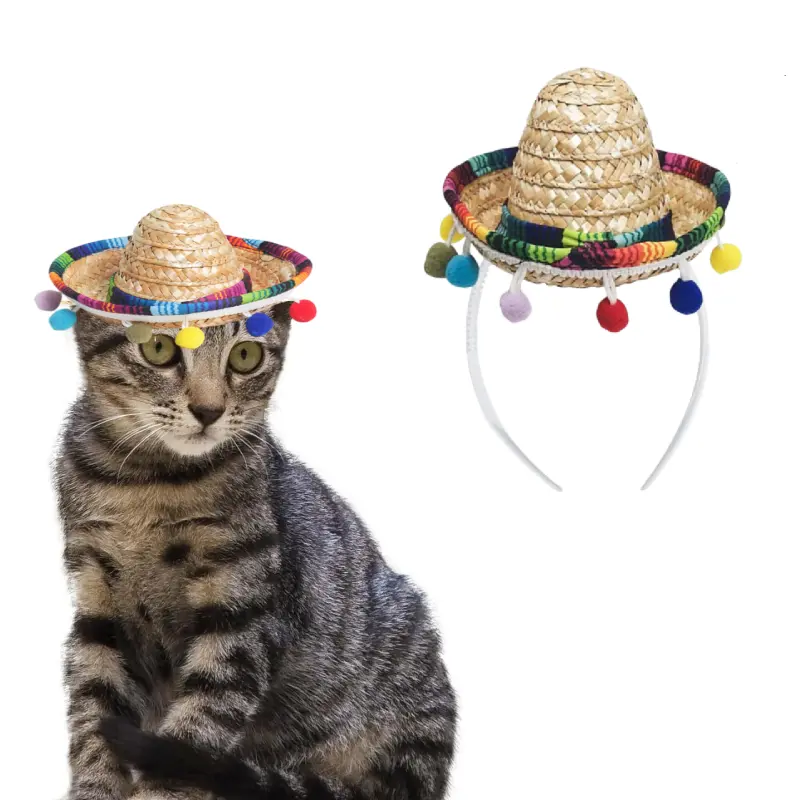 Adorable Pet Mexican Hat: Let Your Furry Friend Embrace Mexican Style