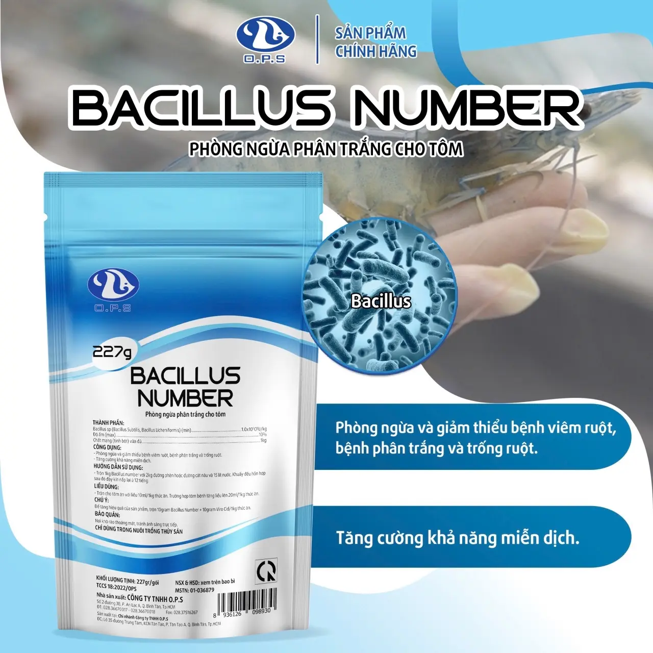 MUA 3 TẶNG 1 Men đường ruột 500 gam BACILLUS NUMBER