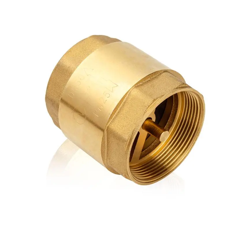 Copper Thickened Water Valve, 1 Count Multipurpose Spring Check Valve, Suitable for Water Pipe, Air Pump, Water Heater, Plumbing, Home Improvement