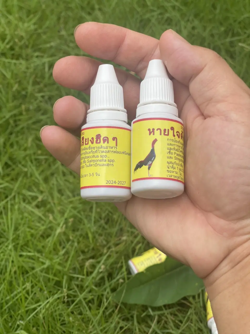 GÀ KHÒ KHÈ, PHÂN XANH, PHÂN TRẮNG, SƯNG ĐẦU MẶT, BỌT MẮT