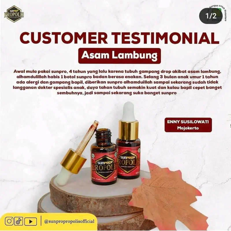 SUNPRO PROPOLIS NASA MENJAGA DAYA TAHAN TUBUH IMUNITAS TUBUH 4