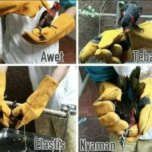 Sarung Tangan Kulit Bahan Tebal Anti Gigit Burung Parrot Kakatua Macaw Nuri