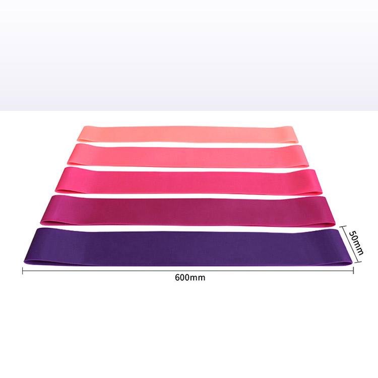 Product Introduction of Bộ 5 Dây Kháng Lực Tập Yoga Gym Cao Su Tự Nhiên 2573 - PARISA dây kéo đàn hồi 31