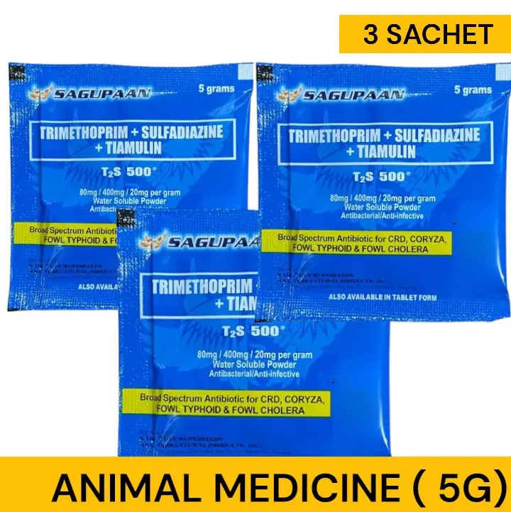SAGUPAAN T2S 500 POWDER ( SOLD 3 SACHET) - TikTok Shop Philippines