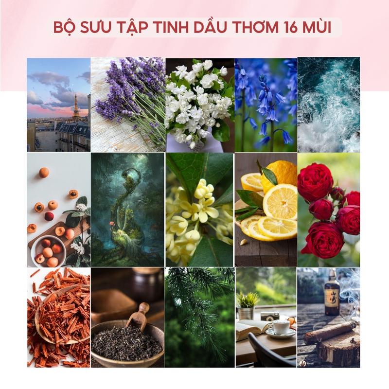 Tinh Dầu Sandal Wood Oil MESMERIC Thiên Nhiên Nguyên Chất Tạo Mùi Hương Chuyên Dụng Làm Nến Thơm DIY Dầu Thơm Phòng Dầu Thơm 1
