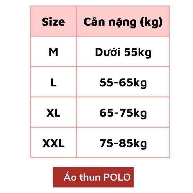 Áo Polo Basic phối viền cao cấp -vải cotton cá sâu - đứng from tôn dáng ,lịch lãm 5