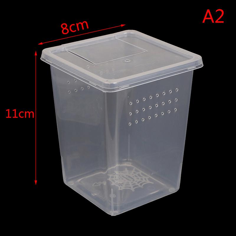 Product Introduction of Plastic Insect Spider Habitat Feeding Box Case Container Tank Transport Case Toy 17