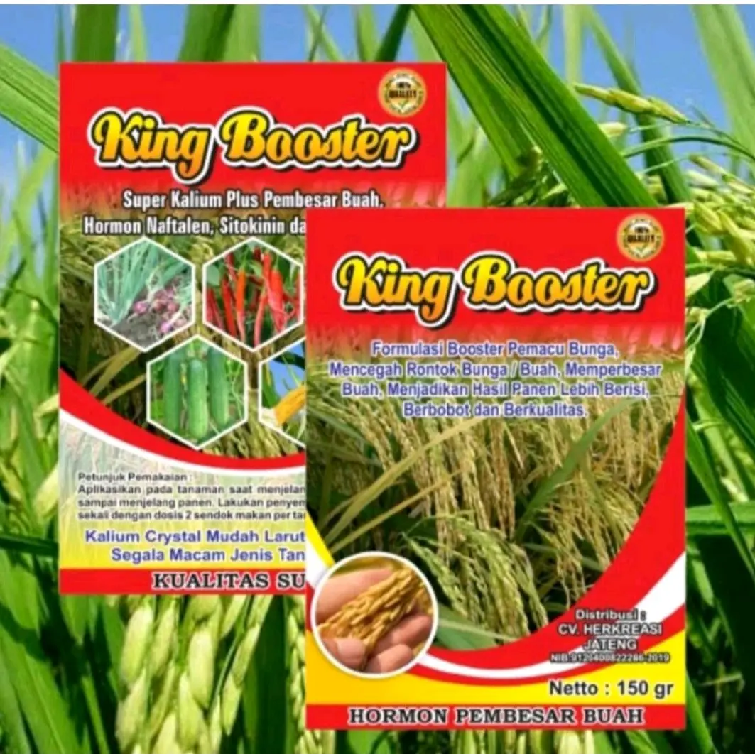 KING BOOSTER/Pupuk berkualitas untuk bembesaran buah isi 150 gram Kalium
