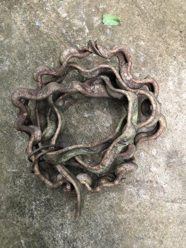 Dây xoắn rừng tu nhiên làm decor cây giả dây leo giả trang trí.cuộn 5m cây hồng phụng