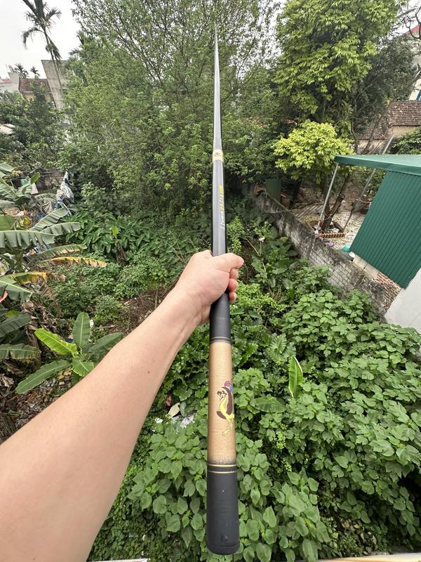 CẦN CÂU ĐƠN, CÂU ĐÀI KHỔNG TƯỚC 3H Fishing 8