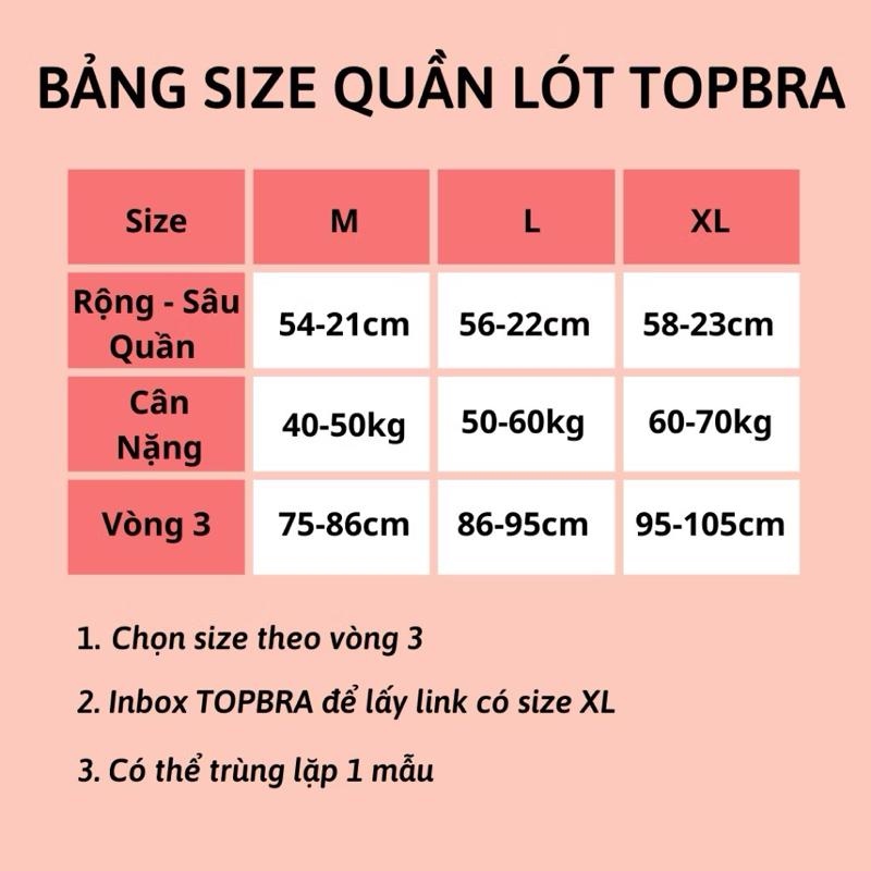 ￼SET 5-10 Quần Lót Nữ Su Lụa Thạch Tàng Hình Cao Cấp Không Viền HOẠ TIẾT Su Thạch DÂU TÂY 6