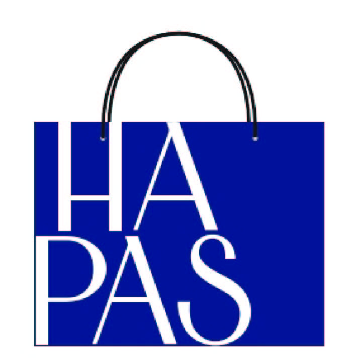 Túi giấy mới đựng đồ Hapas Bag Nam