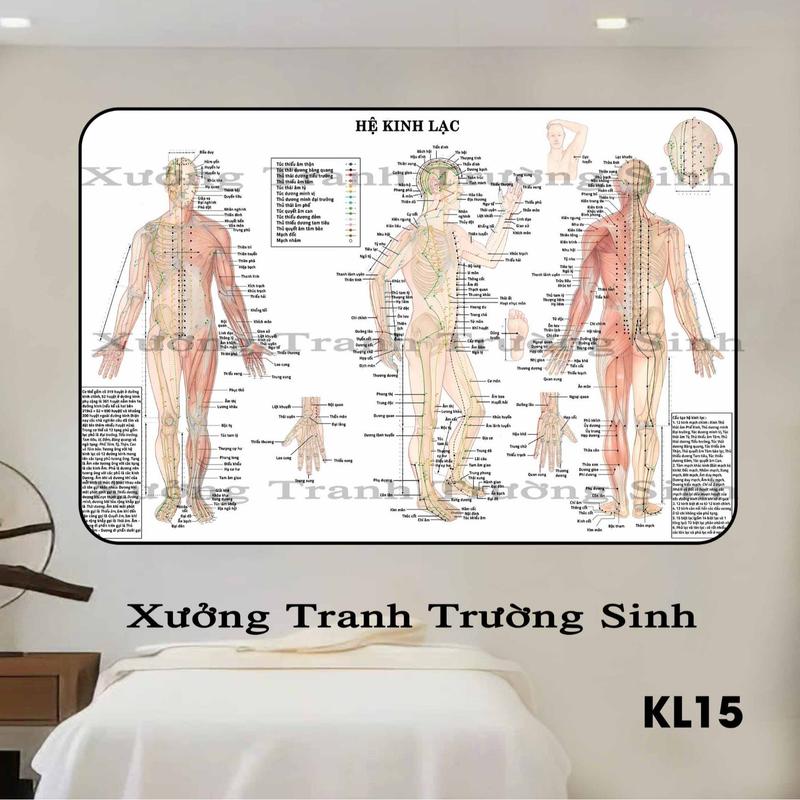 Tranh Spa Huyệt đạo Dưỡng Sinh - Tranh FOMEX dán tường Đông y Kinh Lạc - Trang trí tiệm decor spa - Tặng kèm keo không cần khoan Phòng Khách