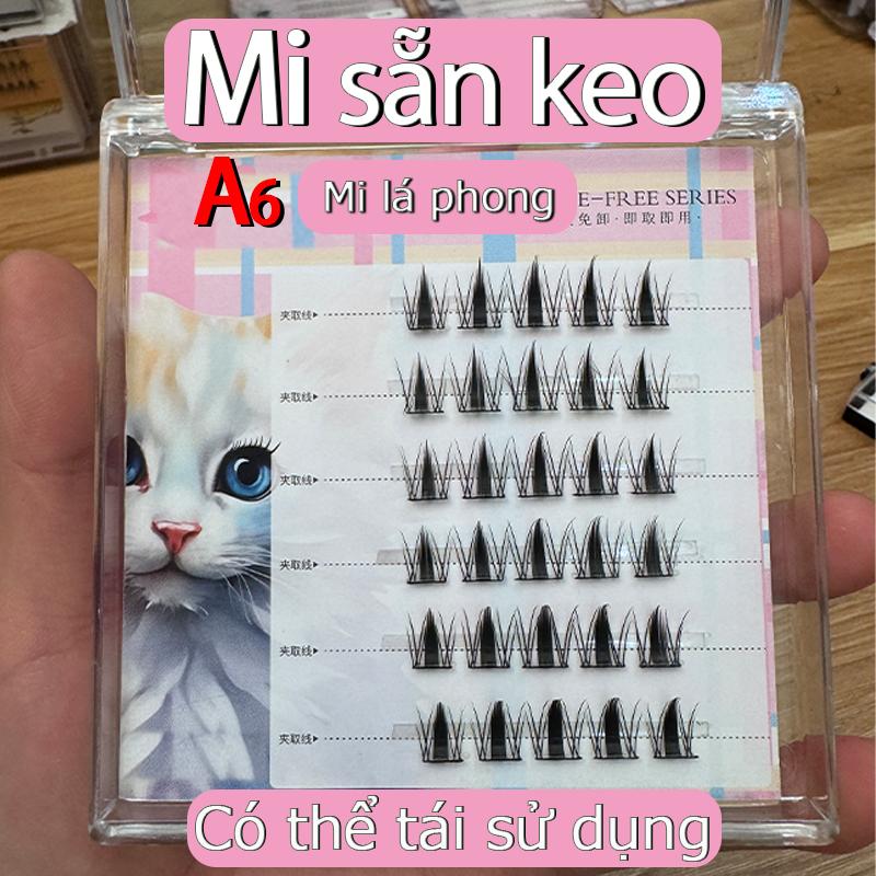  Lông Mi Giả Cụm Tự Nhiên Dán Sẵn Mỏng Và Nhẹ Có Thể Tái Sử Dụng Nhiều Lần Lông Mi Thỏ Đã Bắn Keo Sẵn mr  sany mi  elyzza Nữ Trang Điểm 
