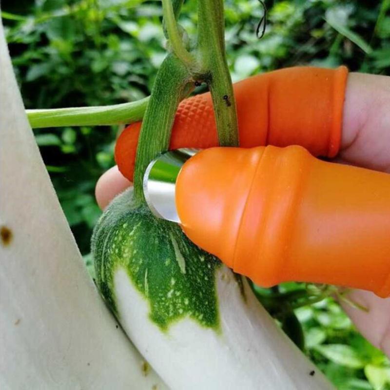 Product Introduction of Farm Vegetable Fruit Picker Pickle Pepper Pickle Tip Picker Iron Nail Pick Grape Picker for Garden Orchard and Vegetable Patch 31