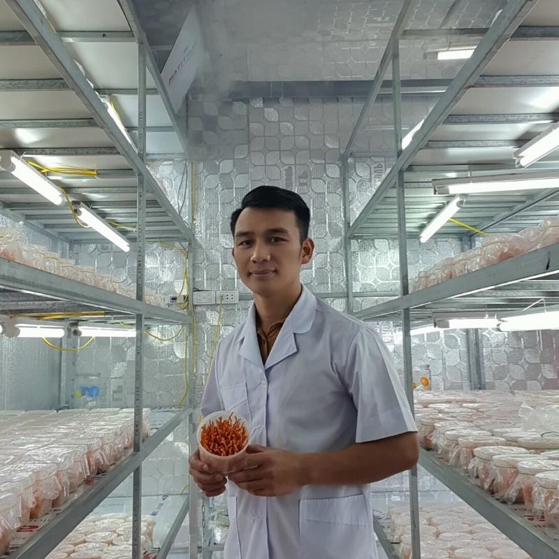 Đông Trùng Hạ Thảo Khô Sấy Thăng Hoa 12 gram 6