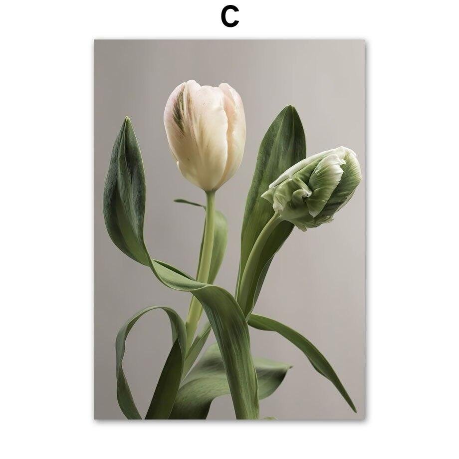 C