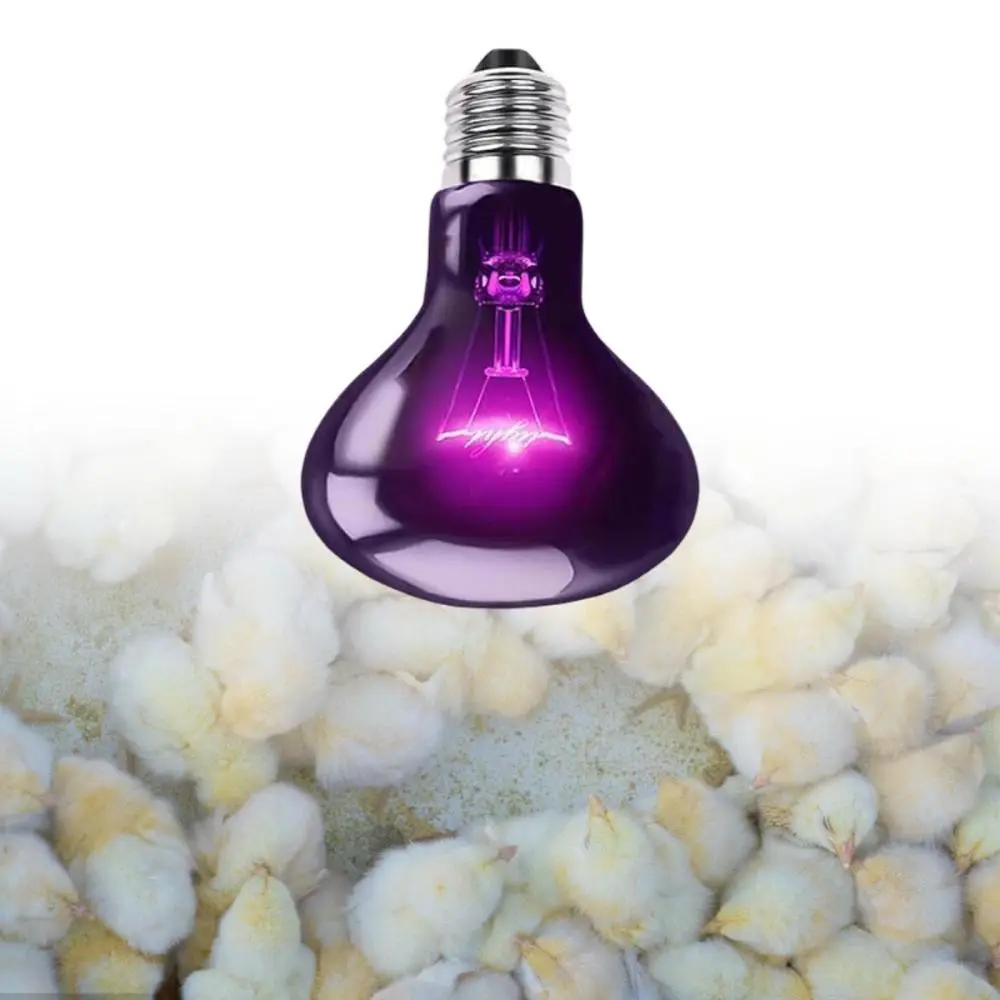 Night Light Bulb, Simulated Moonlight Heat Lamp, Pets Light Basking Lamp