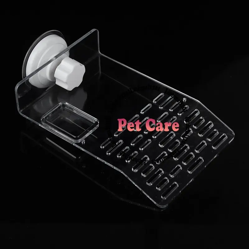 [hot sale]Bệ phơi nắng cho rùa trong suốt 2