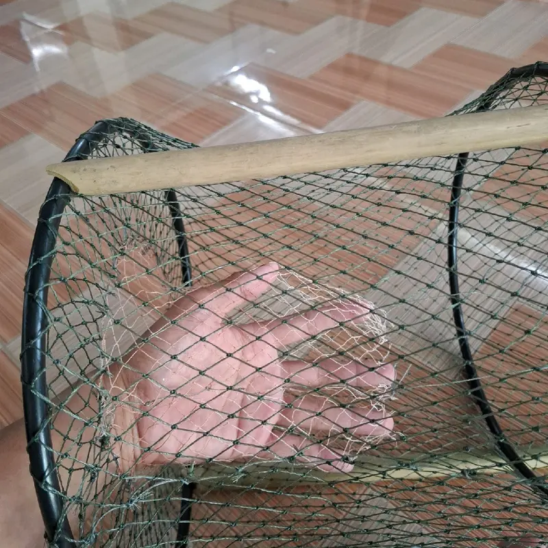 5 cái lờ cá vành nhựa 30*52 không cần mồi Đi Câu Bắt Cá Câu Cá Fishing Fish 4