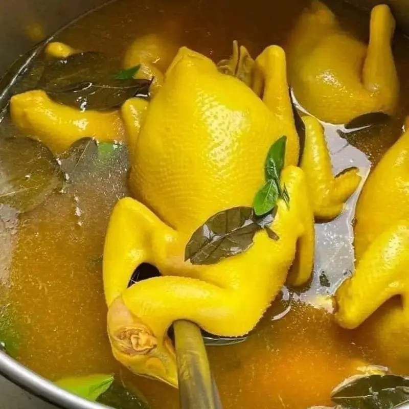 GÀ Ủ MUỐI NHÀ LÀM - 1 CON 1,2-1,4kg - TƯƠI NGON ĐẢM BẢO - NÓI KHÔNG VỚI GÀ ĐÔNG LẠNH Thức Ăn 0