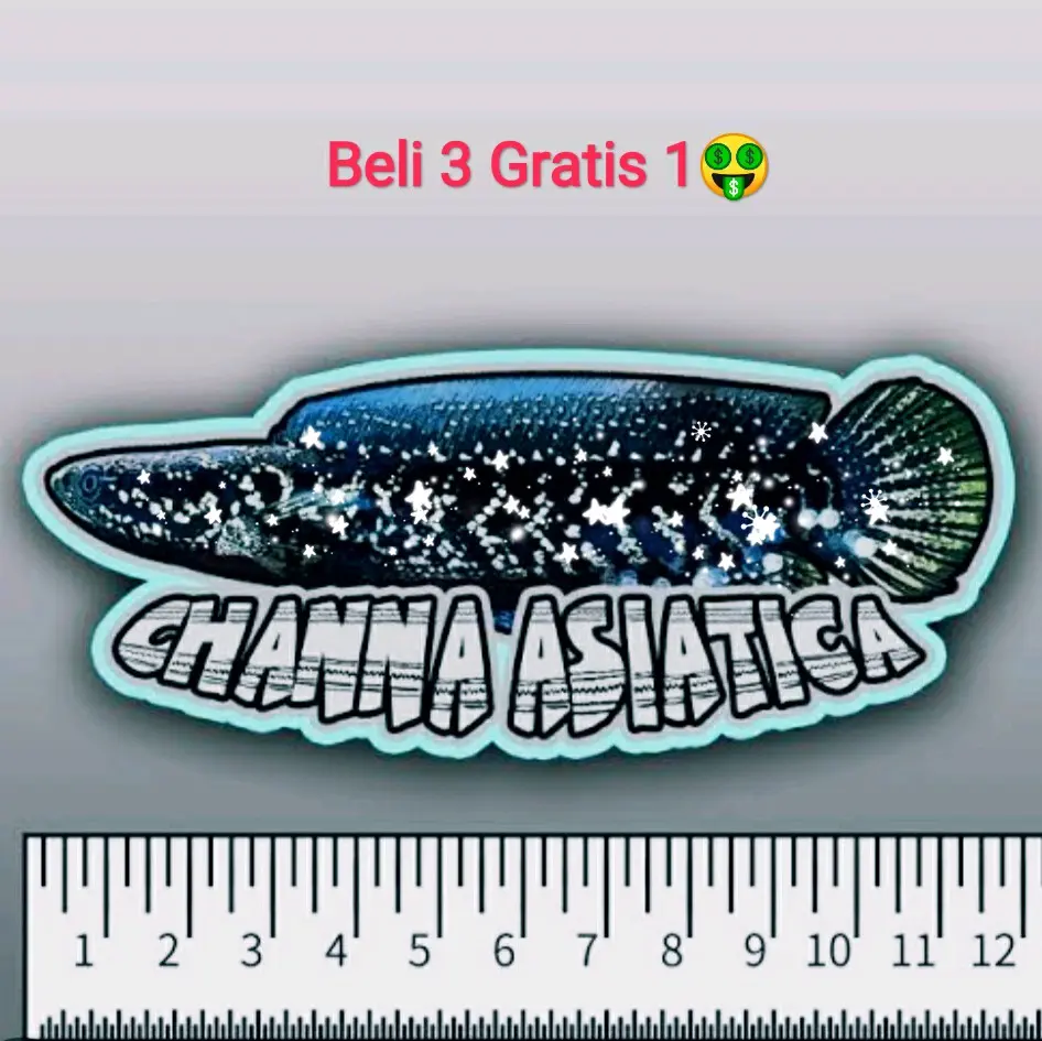 Sticker Asiaticaws 1014cm Plastik