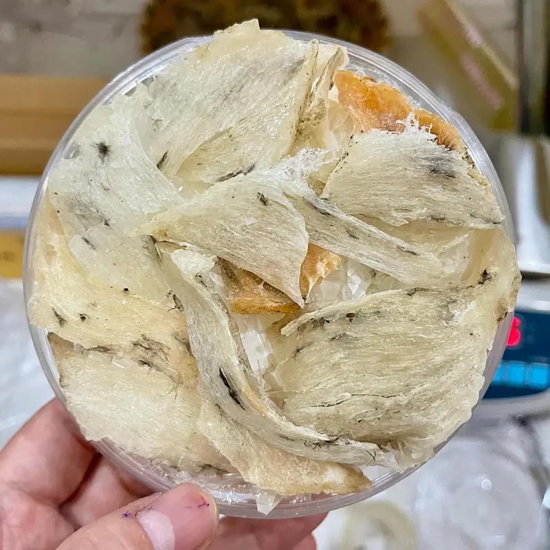 TỔ YẾN - Chân tổ yến thô ÍT LÔNG - ĐẸP 25gram tặng táo đỏ, đường, hạt chia, nhíp Food-Thực phẩm bổ sung hỗ trợ sức khoẻ - HỒNG MY YẾN 4