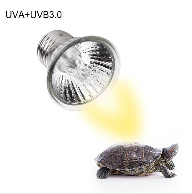  Bóng Sưởi Đèn Sưởi UVA UVB 3.0 Dành Cho Rùa Cảnh Bò Sát Chim Cảnh Loại 25W Phổ Thông Hàng Cao Cấp BH 12 Tháng 