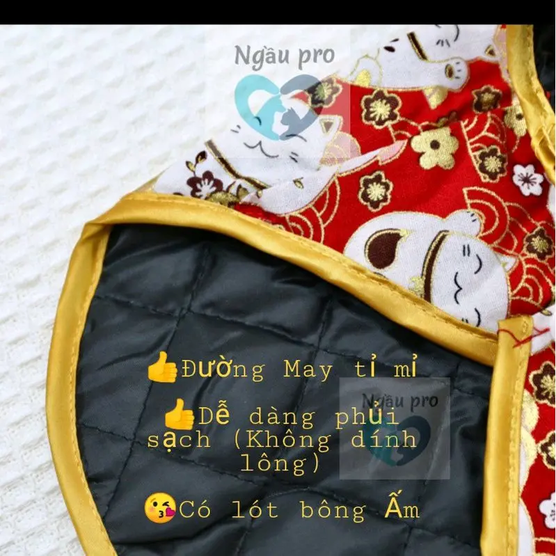 Áo Váy tết chó mèo đi chơi lễ hội, Quần áo thời trang cho thú cưng trình diễn catwalk 4