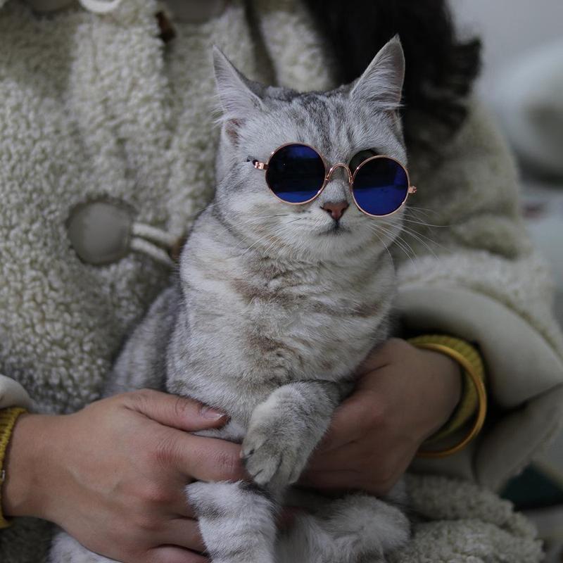 Fashion Eye Glasses for Cats, Retro Circular Cool Sunglasses, Pet Costume Supplies, Round Frame Glasses Photo Props for Small Medium Pets Kids Boys Girls 1