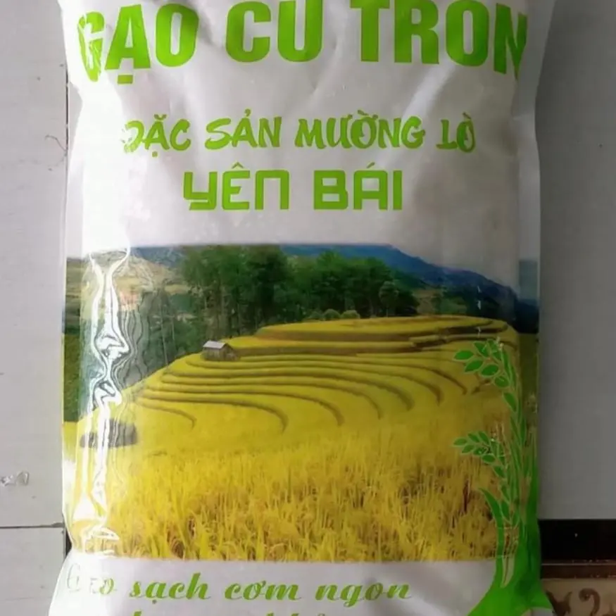 Gạo Sén Cù (hạt tròn) bao 5kg đặc sản Tây Bắc
