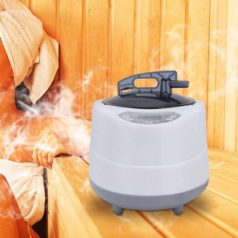 2L Sauna Steamer US Plug 1000W 220V/50Hz Fumigation Steam Machine Multifunctional Large Capacity Steam Generator Steam Pot 6