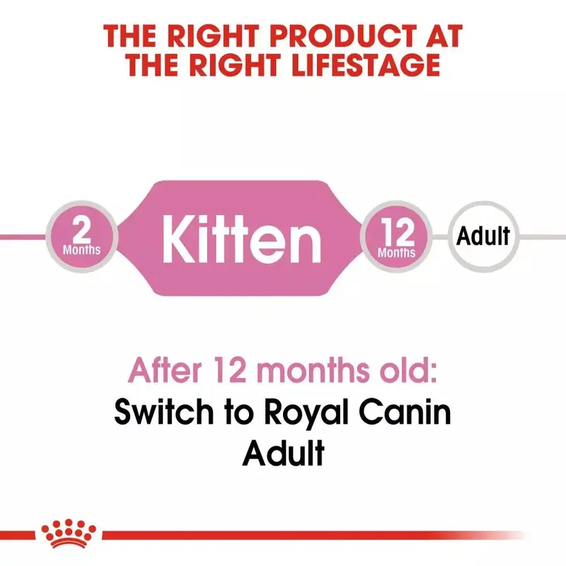 Royal Canin KITTEN 2KG Cat Food Rc Makanan Anak Kucing 2bulan Dry 2 Kg Catfood Royalcanin Kiten Anakan Baby Persian Kecil 36 Murah 8