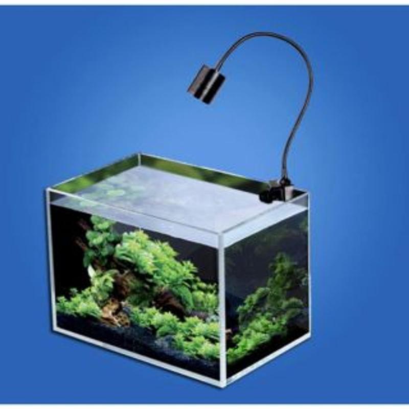 Product Introduction of Đèn Led Rọi Thuỷ Sinh Biotop - Thích Hợp cho những hồ Thuỷ Sinh, hồ Bán Cạn, Hồ Tiểu Cảnh... DREAMER GUPPY.. 16