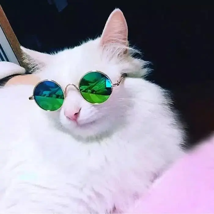Kacamata Anjing Kucing Hewan Sunglasses Pet Kaca Mata Kucing Anjing 1