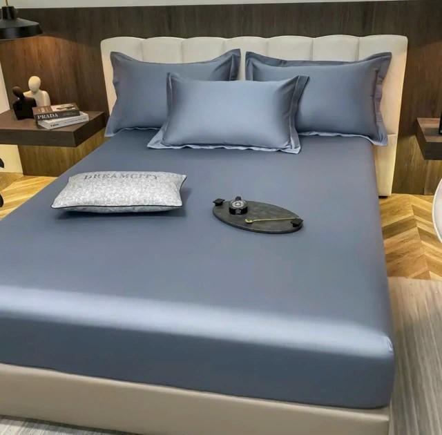 Product Introduction of BỘ 3 MÓN GA VÀ VỎ GỐI LỤA THÁI - CHẤT LIỆU MÁT MẺ, MÀU SẮC TRẺ TRUNG - Ga bo chun đệm được 10p. 66