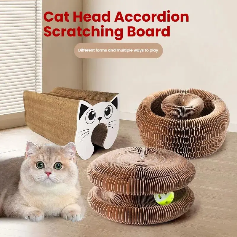 Magic Cat Scratching Board Toy with Random Color Ball, 1 Set Reversible Infinity Magic Organ Cat Toy, Durable Cat Scratcher, Pet Supplies, Cat Toys 4