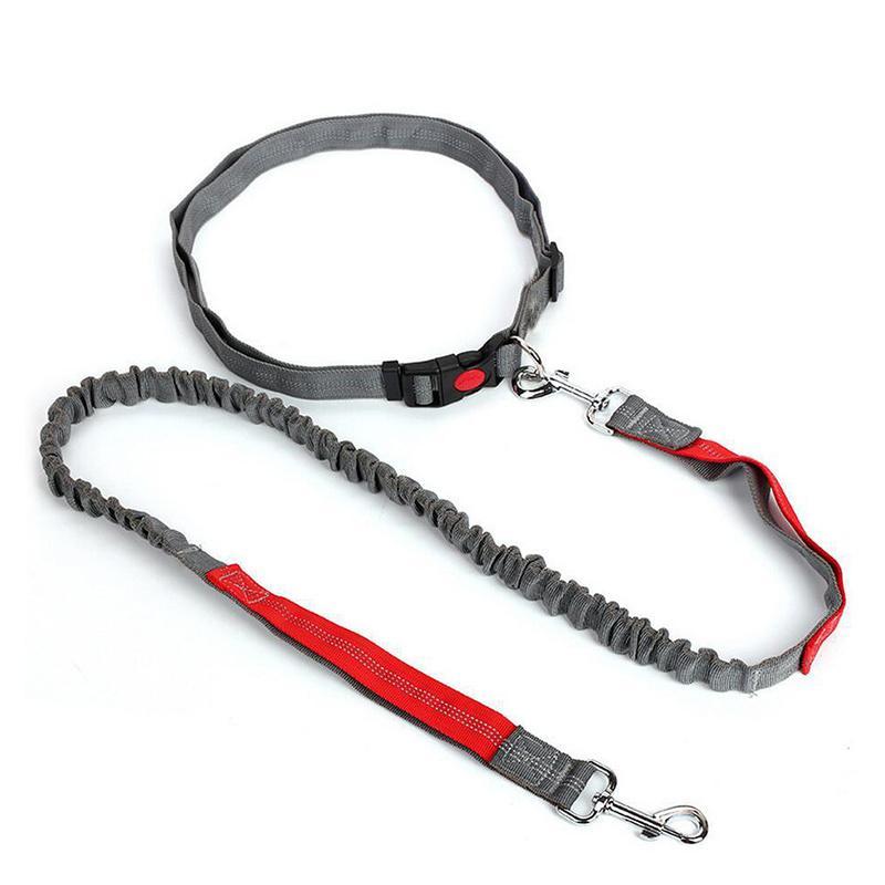 Elastic Nylon Adjustable Dog Leash, Durable Dog Leash, Pet Walking Leash, Dogs Walking Rope, Pets Training Leash, Outdoor Walking Leash for Small Medium Large Dogs 2