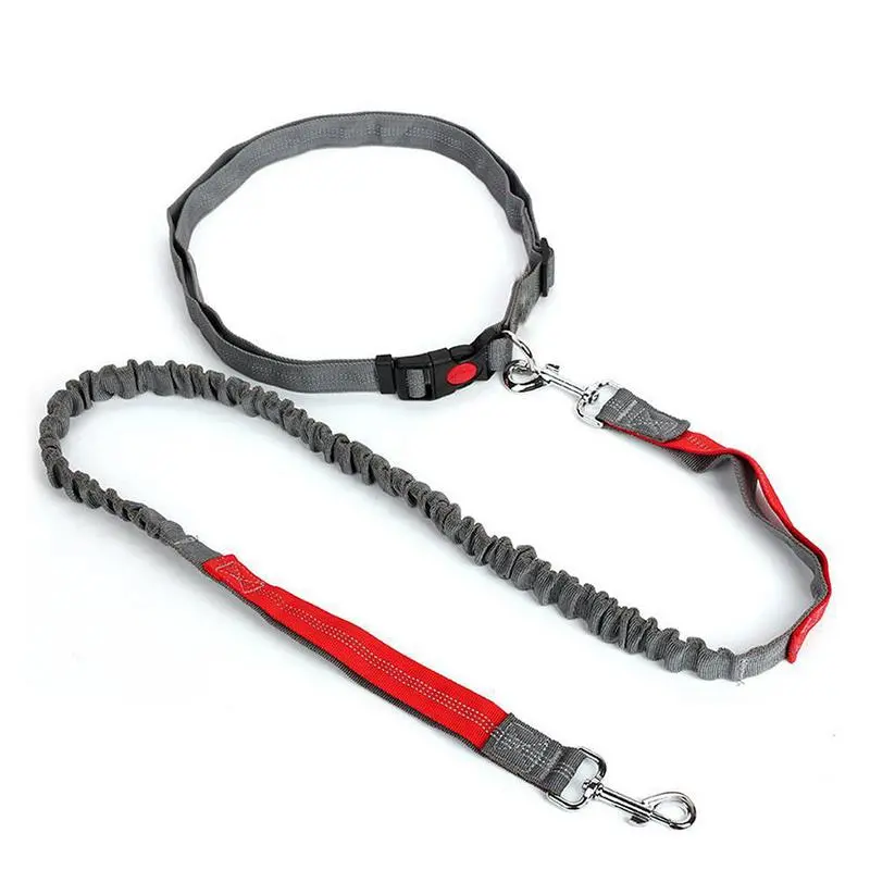 Elastic Nylon Adjustable Dog Leash, Durable Dog Leash, Pet Walking Leash, Dogs Walking Rope, Pets Training Leash, Outdoor Walking Leash for Small Medium Large Dogs 2