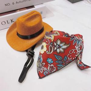 หมวกสัตว์เลี้ยง ดีไซน์คาวบอยตะวันตก สำหรับแมวและสุนัข หมวกคาวบอยขนาดเล็ก Nomi พร้อมรูปถ่ายยุ่ง รองเท้า  น้อง  หมา