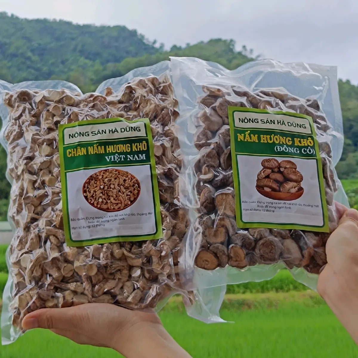 [COMBO] 500gr Chân Nấm Hương Khô và 100gr Nấm Hương Khô ( Đông Cô ) hàng Việt Nam