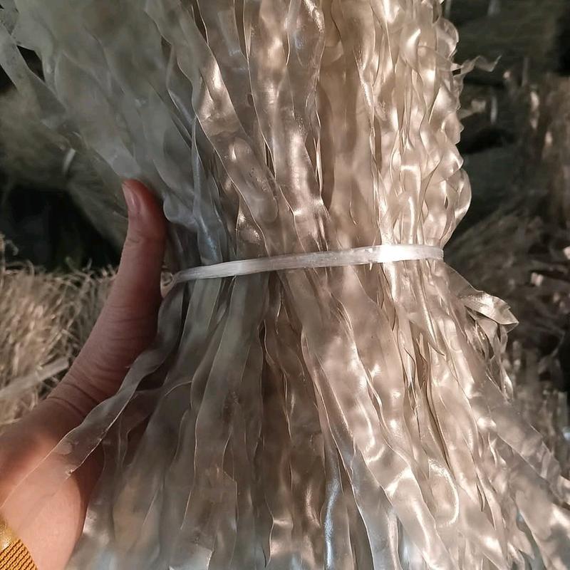 01kg miến dong SỢI TO thái tay Điện Biên giòn dai thơm ngon thái tay Điện Biên miến dong dẹt Nà Tấu đặc sản điện biên thơm ngon . Food Thức Ăn miến ăn vặt thức ăn food