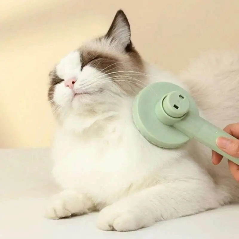 Lược Loại Bỏ Lông, Dụng Cụ Cạo Tẩy Lông, Dụng Cụ Chải Lông Cho Thú Cưng, Cho Mèo Và Chó, Kèm Lược, Phụ Kiện Cho Mèo Và Chó, Phụ Kiện 5