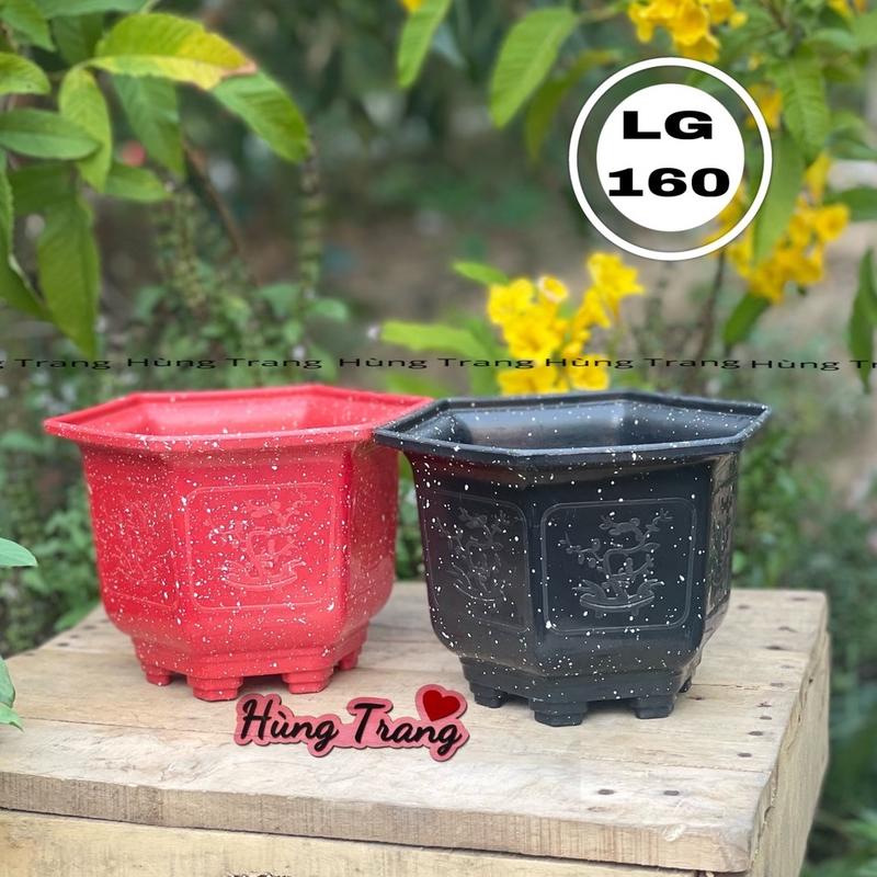 [ 10 cái ] Chậu sen đá lục giác 160 dày dặn ( miệng 17cm x cao 12cm ) chậu  đá
