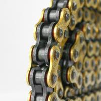 Gambar TK RANTAI 428 (130 & 140) HPO-GOLD BRIGHT Gold Motor dari TK Racing Kota Administrasi Jakarta Barat 3 Tokopedia