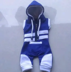 hodie monyet keren